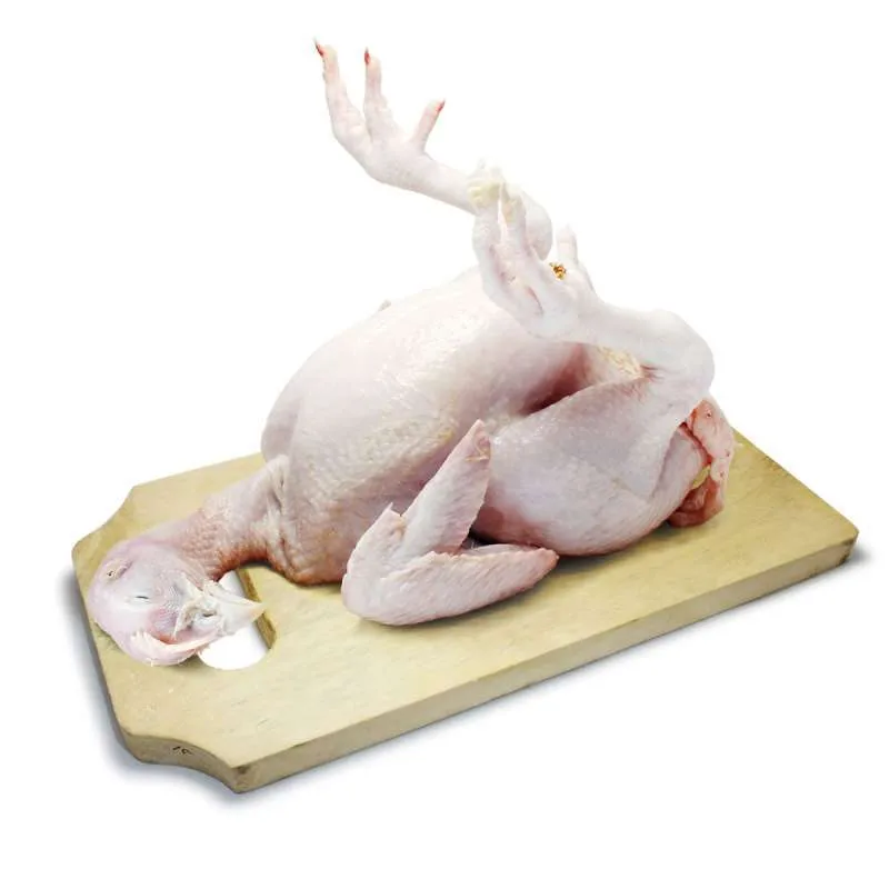 Ayam Lengkap (Utuh)